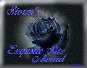 Storm's Exquisite Site Award