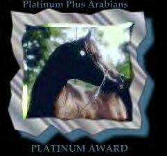 Platinum Plus Arabians Platinum Award