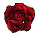 blackroseblank.gif (3956 bytes)