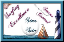 Surfing Excellent