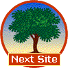 NextSite Logo