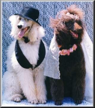 Our Wedding Day