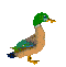 SMDUCK1_41.gif (3566 bytes)