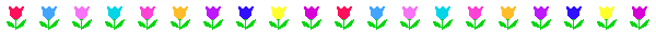 tulip(2480 bytes)