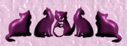 bar (10164 bytes)