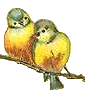 birds (4959 bytes)