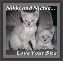 Nikki and Nichie Award