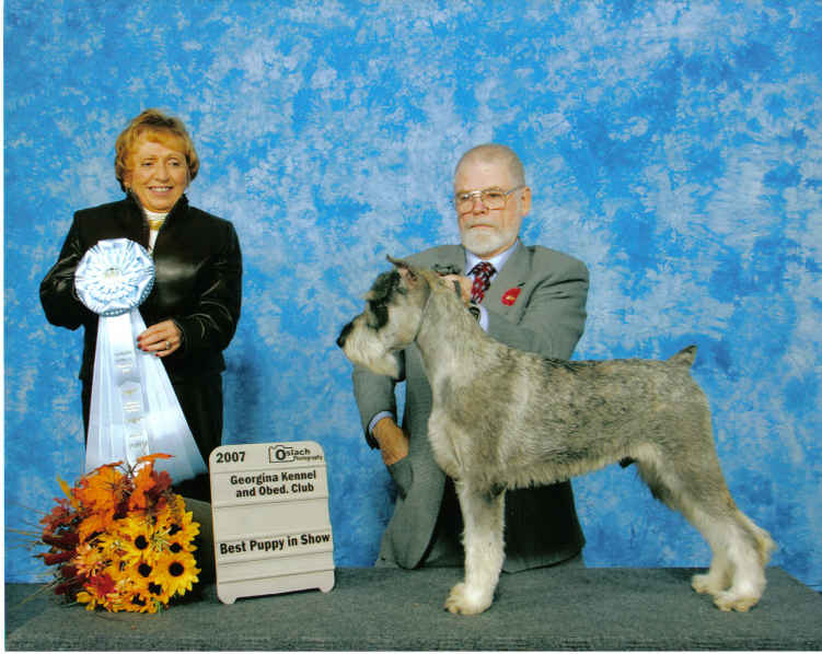 This is Bently at GKOC winning a Best Puppy in Show