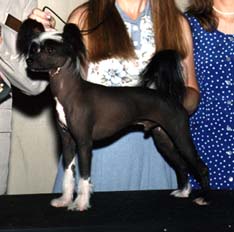 Dandy: 7/3/95 - 12/19/08