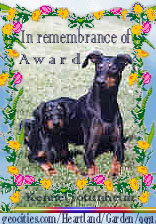 award_in_remembrance