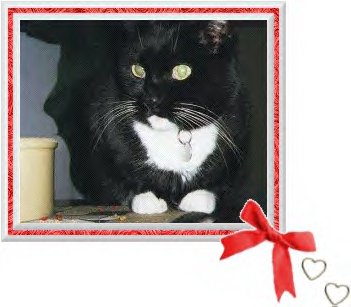 Boots (15 Years Old)