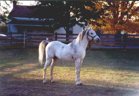 Dahfinah Royel-T November 1999 photo taken by his new mom Tammy