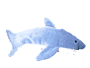 animcrunch.gif (40092 bytes)