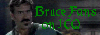 Bruce's Guild on ICQ