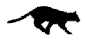 catrun