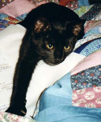 binxpaper