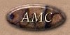 AMC.jpg (2452 bytes)