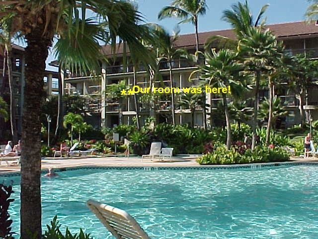 Garden Pool