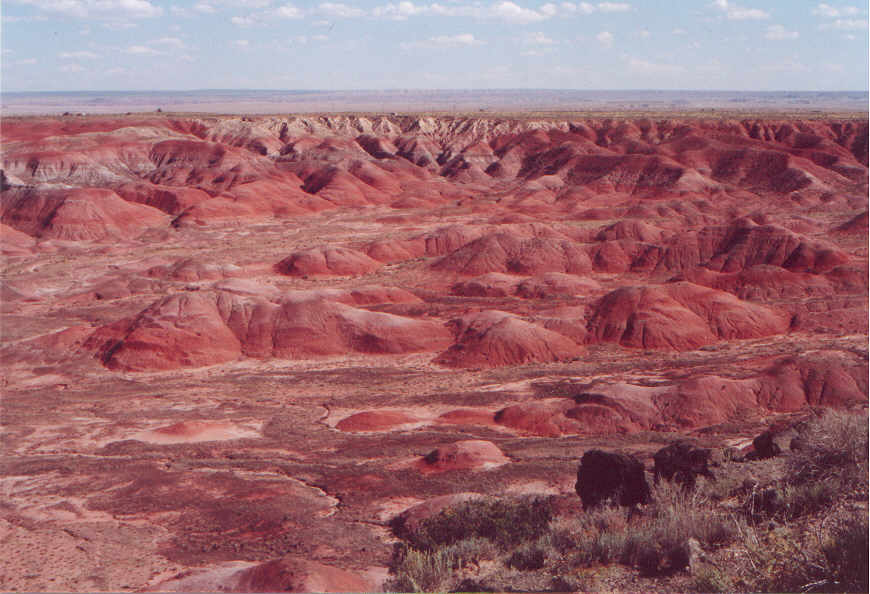 The Painted Desert. Petrified Forest National Park