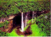 Caida de agua en el Amazonas