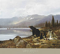 Bear at lake scene