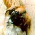 Joschi