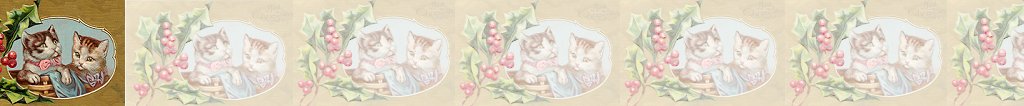 pretty cats with matching muted background