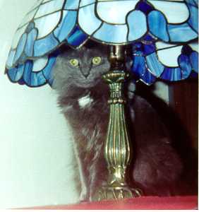 Rufus and the lamp