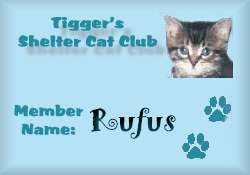 Rufus is a member of Tigger's Shelter Cat Club