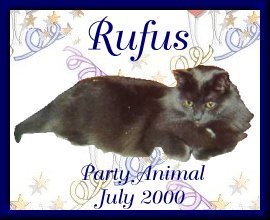 Rufus Is A Party Animal
