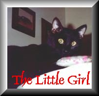 The Little Girl