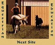Next Equestrian Education Site