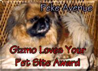 Gizmo Award