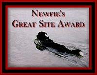 Newfie Award