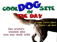 Cool Dog Site of the Day Award