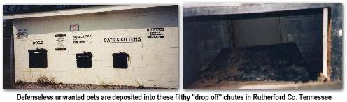 click here to learn more about this animal hell and what you can do to stop it!