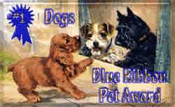 blue ribbon dog award