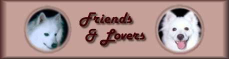 Friends and Lovers