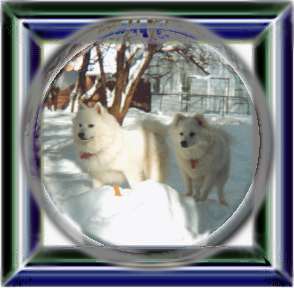 snow globe