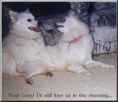 princess and luke