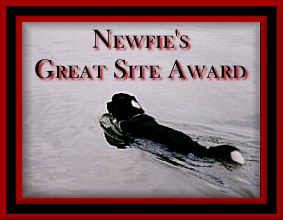 newfie award