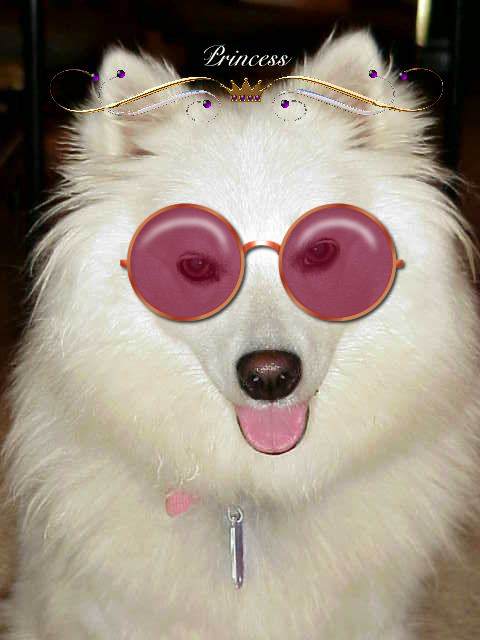 Princess with Glasses on