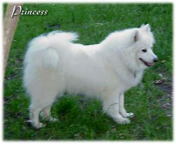Princess