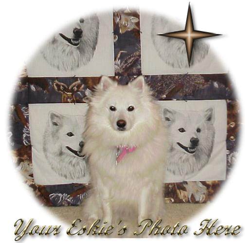 A picture of your pet can go here.