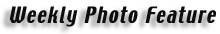 wfoto