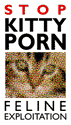 kitty.gif (4436 bytes)