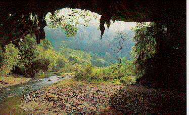 Rod Cave at Pangmapa District, Mae Hong Son.
