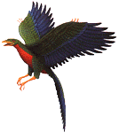 Phoenix