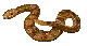 Rattlesnake