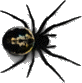 Big Spider